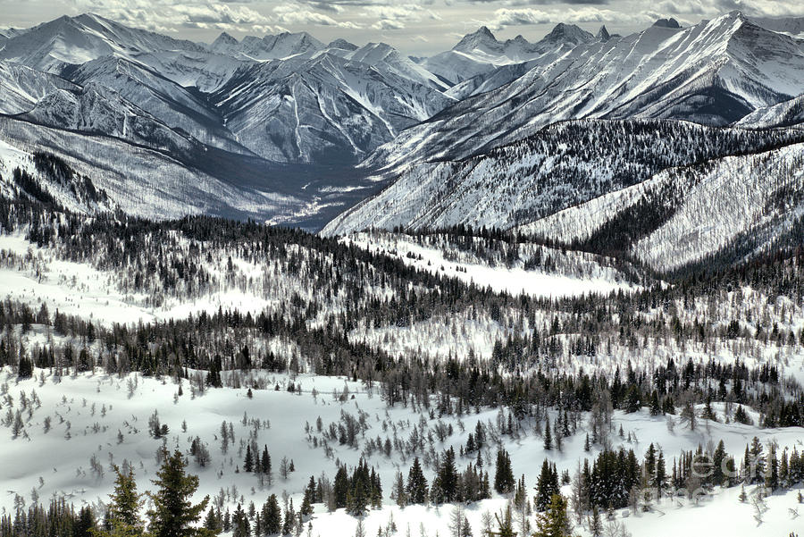Snow Covered Peaks And Valleys Photograph by Adam Jewell