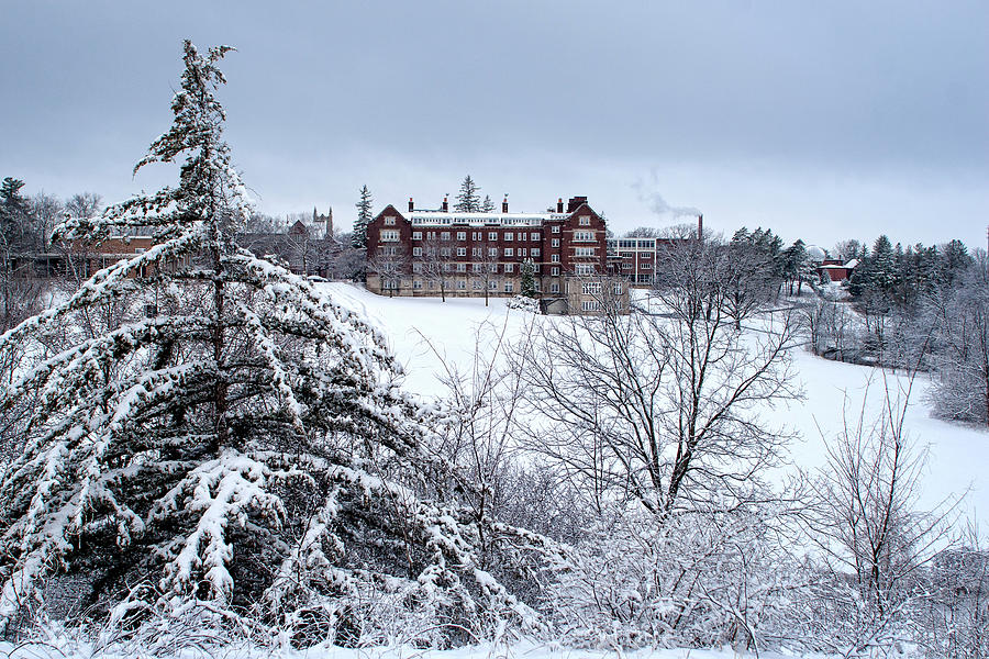 Winter Photograph - Snow covered pine and Evans Hall by Joe Miller