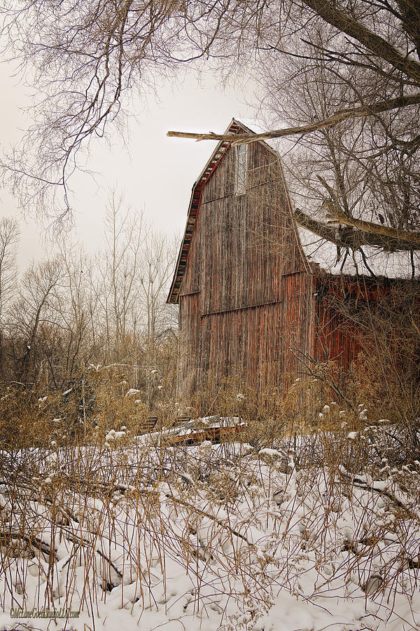 Snow Covered Red Michigan Barns Photograph by LeeAnn McLaneGoetz McLaneGoetzStudioLLCcom