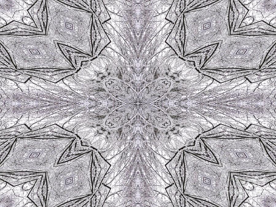 Snow Covered Trees Kaleidoscope Mandala Abstract 1 Photograph by Rose Santuci-Sofranko
