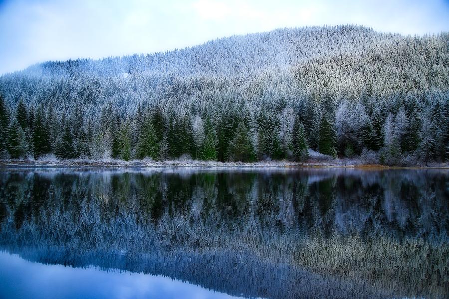 Snow covered trees reflections Photograph by Lynn Hopwood