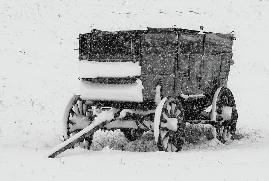 Snow Covered Wagon Photograph by Athena Mckinzie