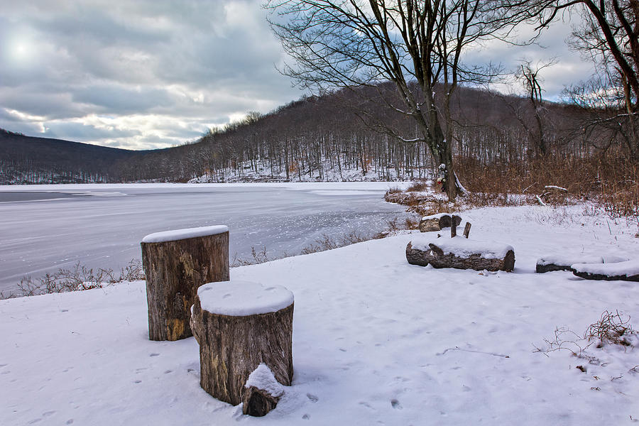 Snow Covered Winter Stumps Photograph by Angelo Marcialis