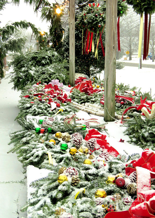 Snow Covered Wreaths Photograph by Janice Drew