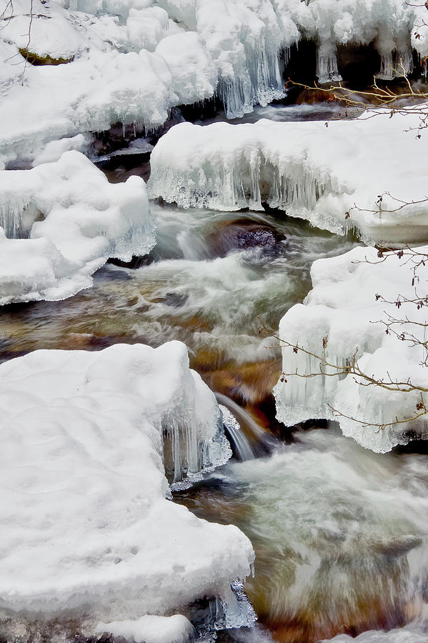 Snow Creek Photograph by Albert Seger