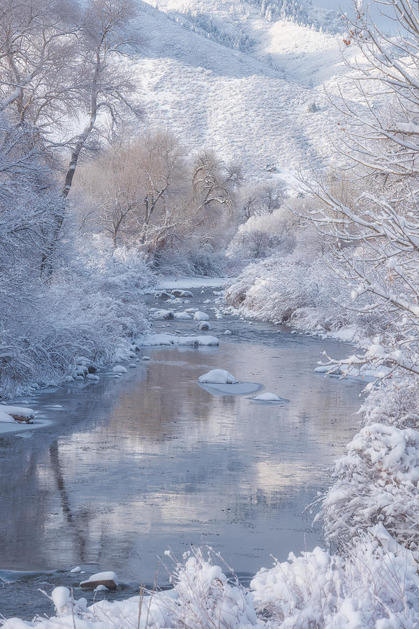 Winter Photograph - Snow Creek by Darren White