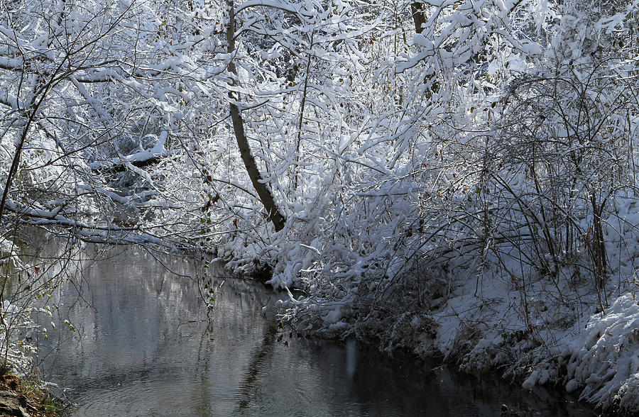 Snow Creek Photograph by Karen Ruhl