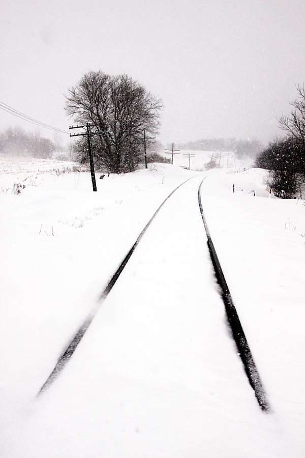 Snow crossing Photograph by Russell Styles