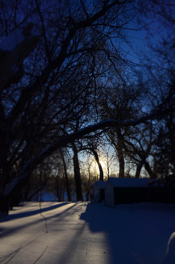 Winnipeg Photograph - Snow day by Allison Slessor