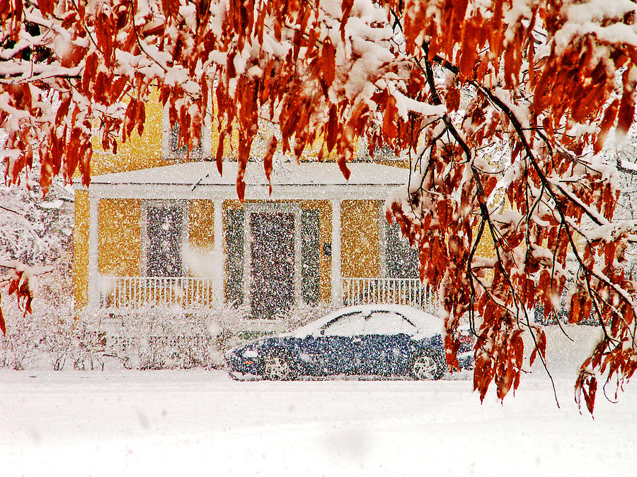 Snow day Photograph by Bill Jonscher