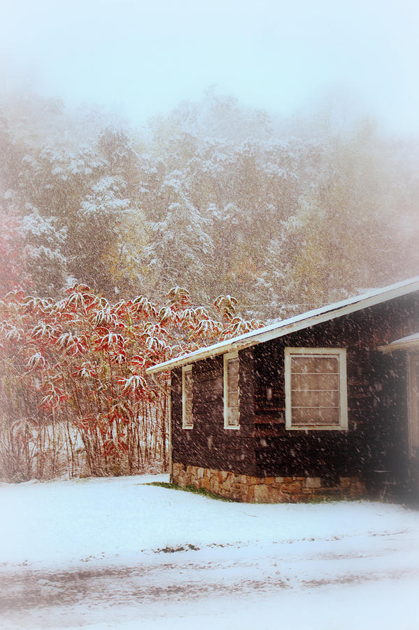 Tree Photograph - Snow Day by Faith Williams