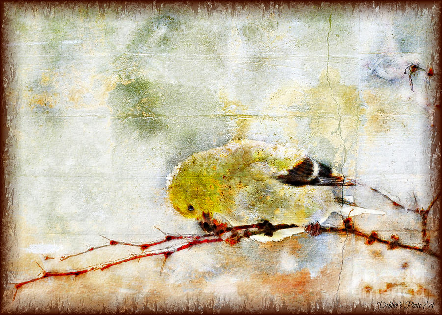 Snow Day Goldfinch  Digital Paint 2 Photograph by Debbie Portwood