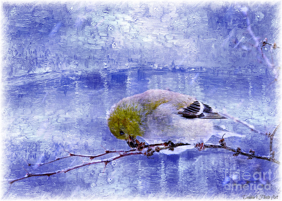 Snow Day Goldfinch  Digital Paint 4 Photograph by Debbie Portwood