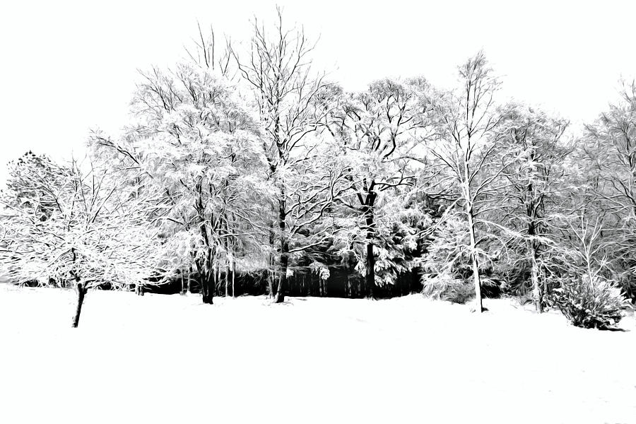 Snow Day by Nadine Lewis Snow Day by Nadine Lewis