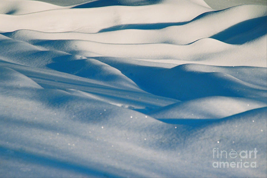 Snow Desert Photograph by Linda Drown
