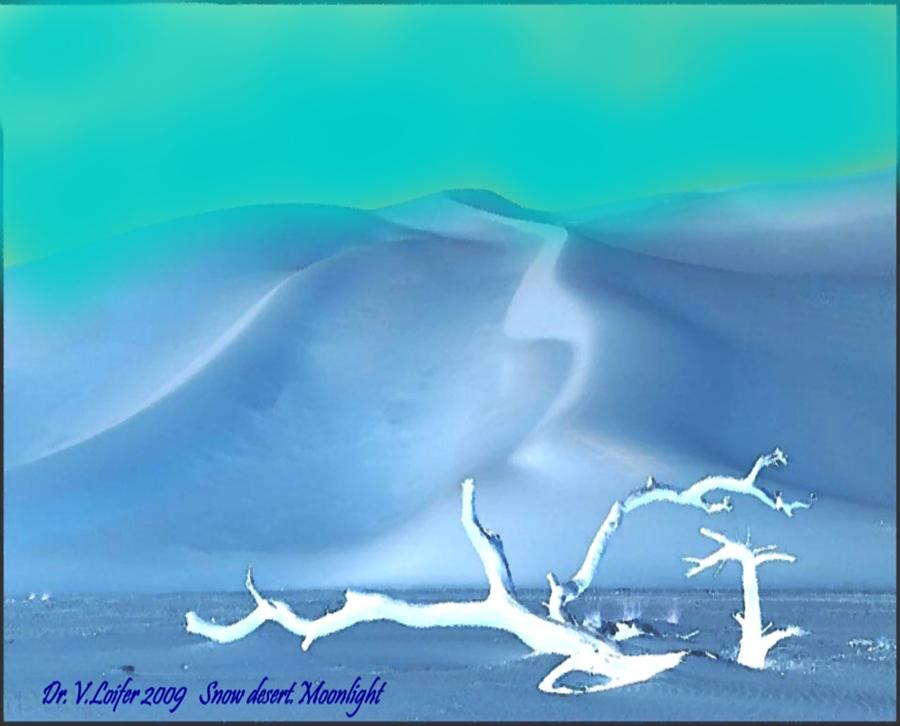 Snow desert.Moonlight Digital Art by Dr Loifer Vladimir