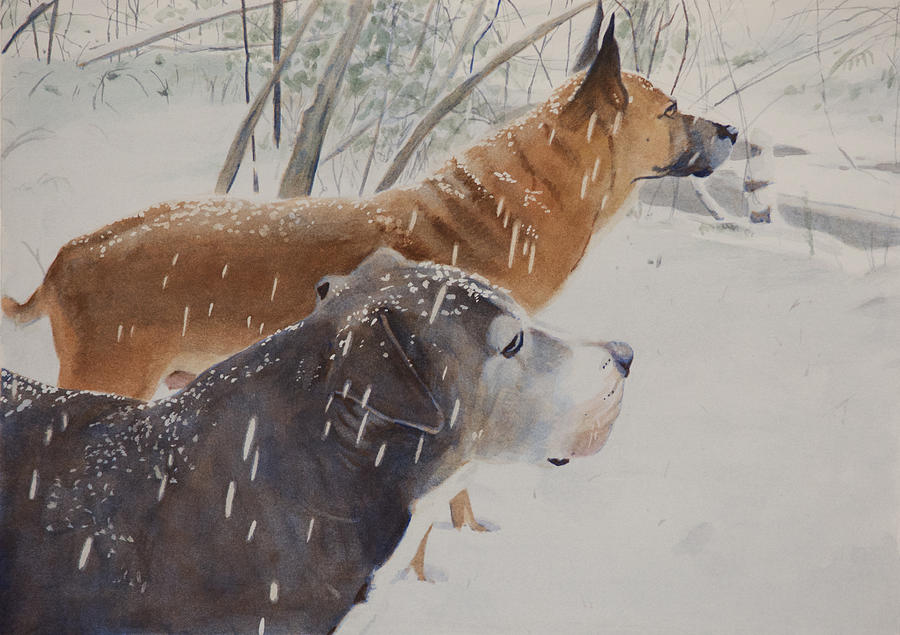 Snow Dogs Painting by Christopher Reid
