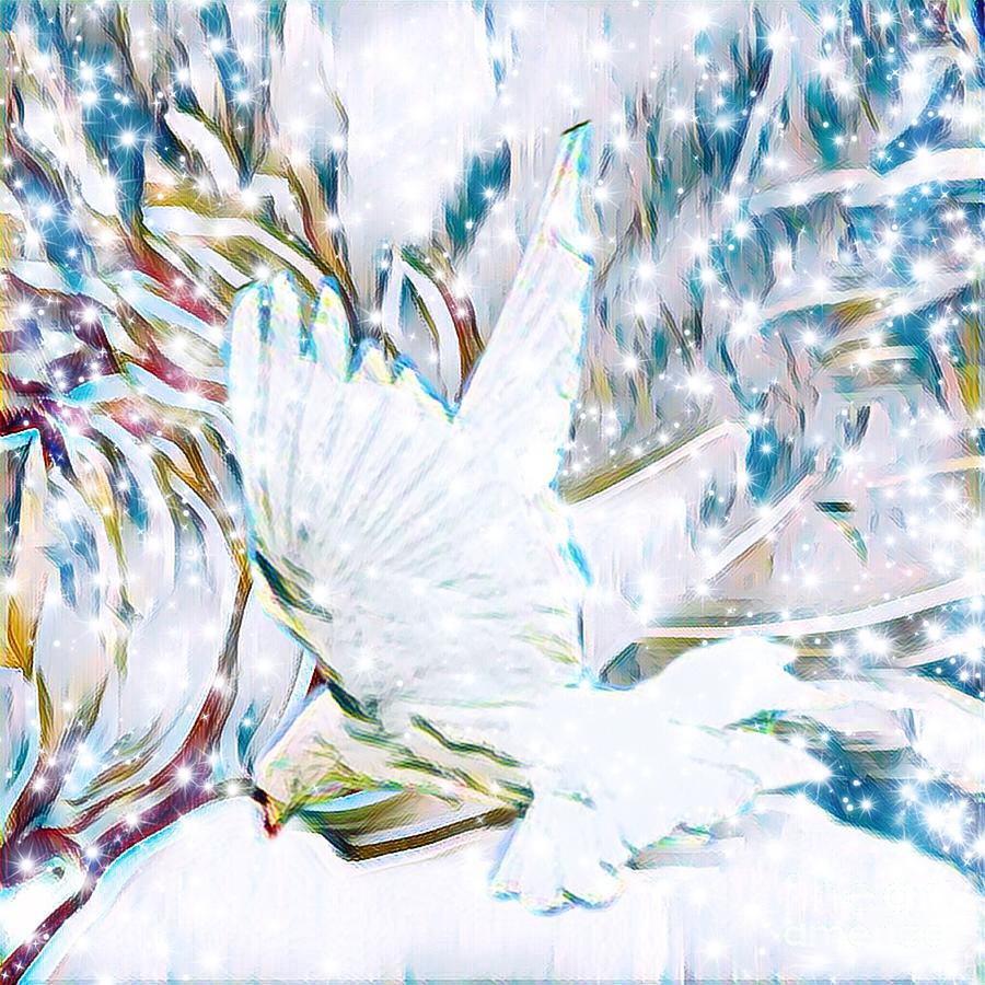 Dove Digital Art - Snow Dove by Gayle Price Thomas