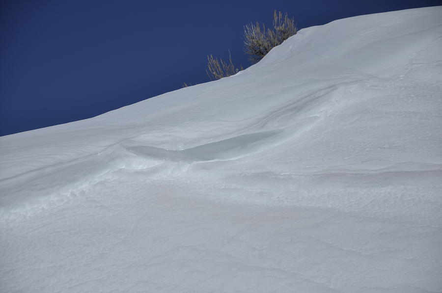 Snow Drift Photograph by Frank Madia