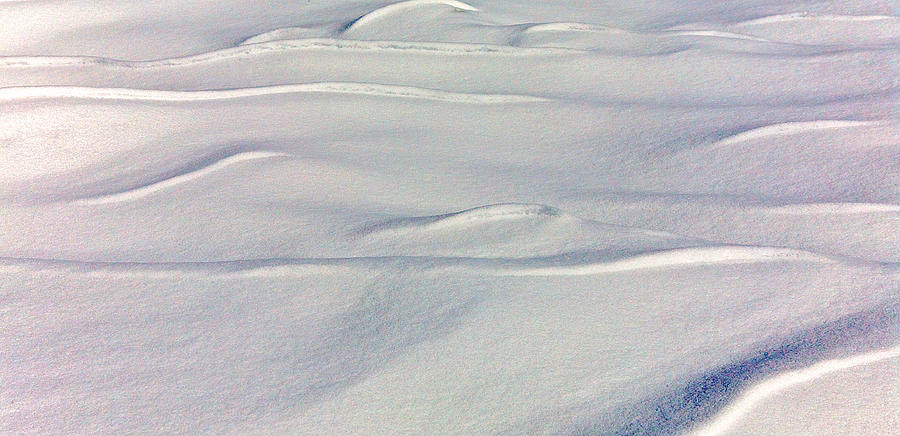 Snow Drift Photograph by William Wetmore