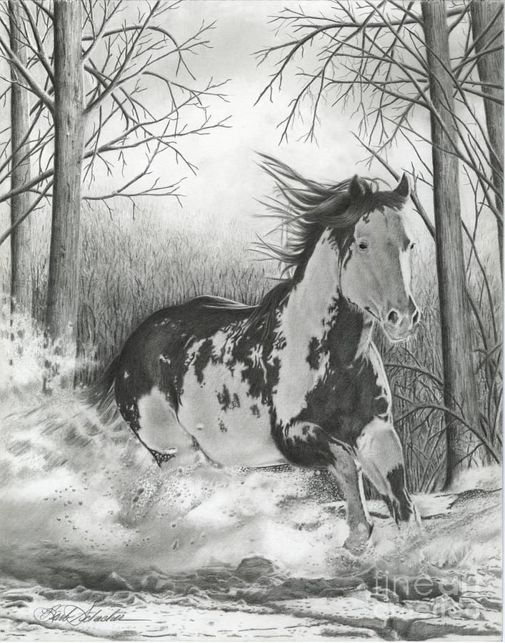 Snow Driftin Drawing by Barby Schacher