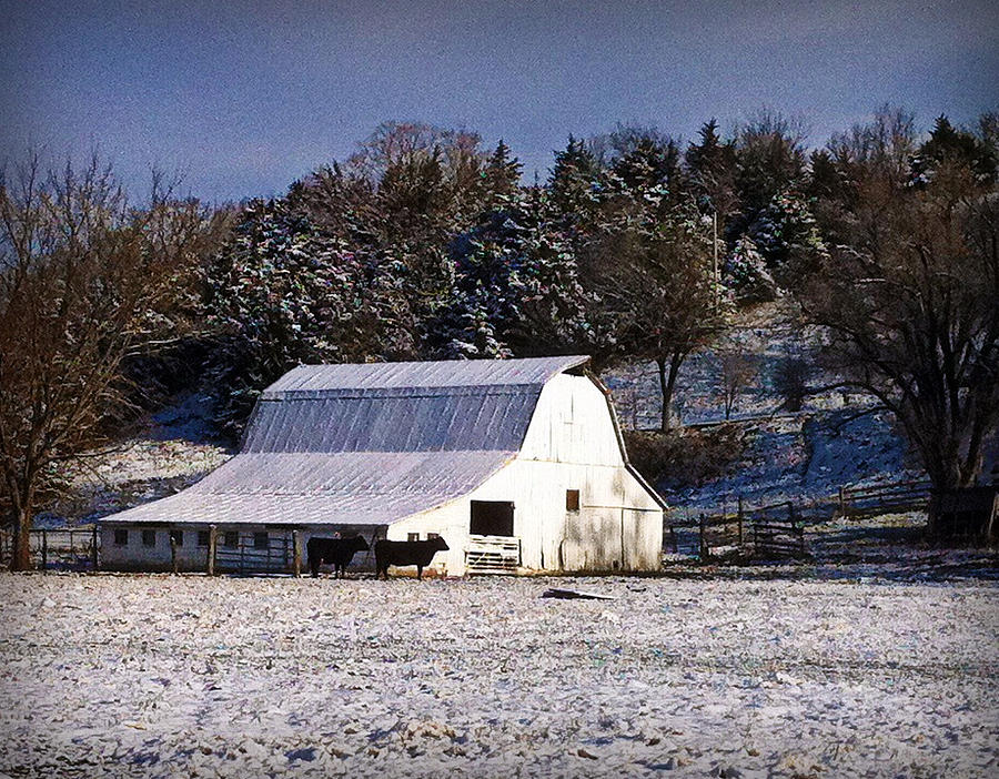 Barn Photograph - Snow Dusted Barn by Cricket Hackmann