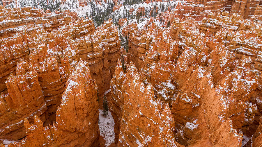 Snow dusted Hoodoos of Bryce Canyon Photograph by Pierre Leclerc Photography