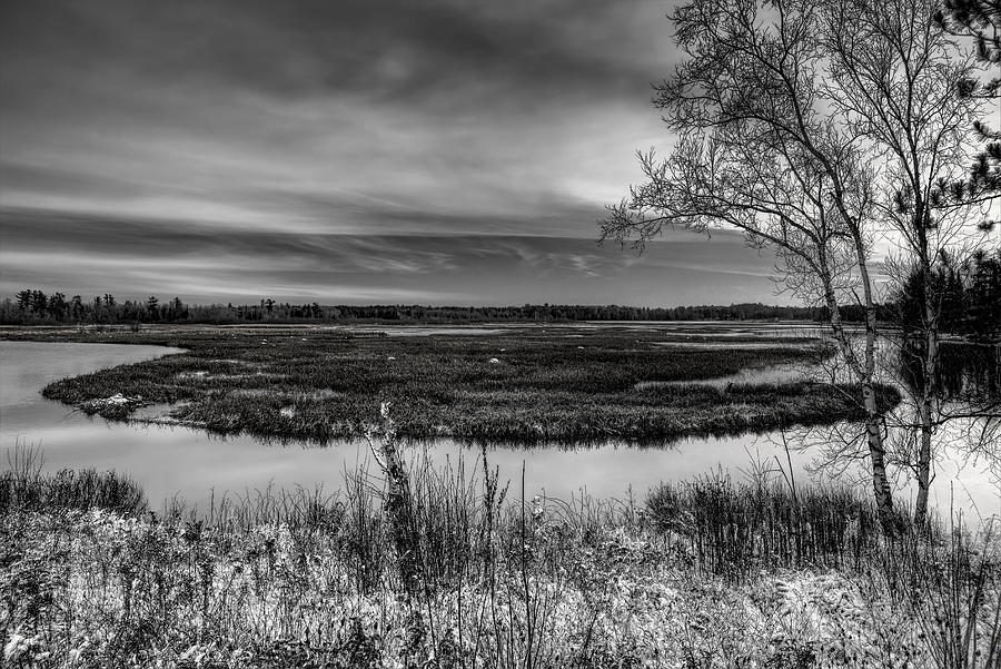 Snow Dusted Marsh Black and White Photograph by Dale Kauzlaric
