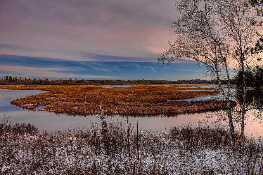 Snow Dusted Marsh Photograph by Dale Kauzlaric