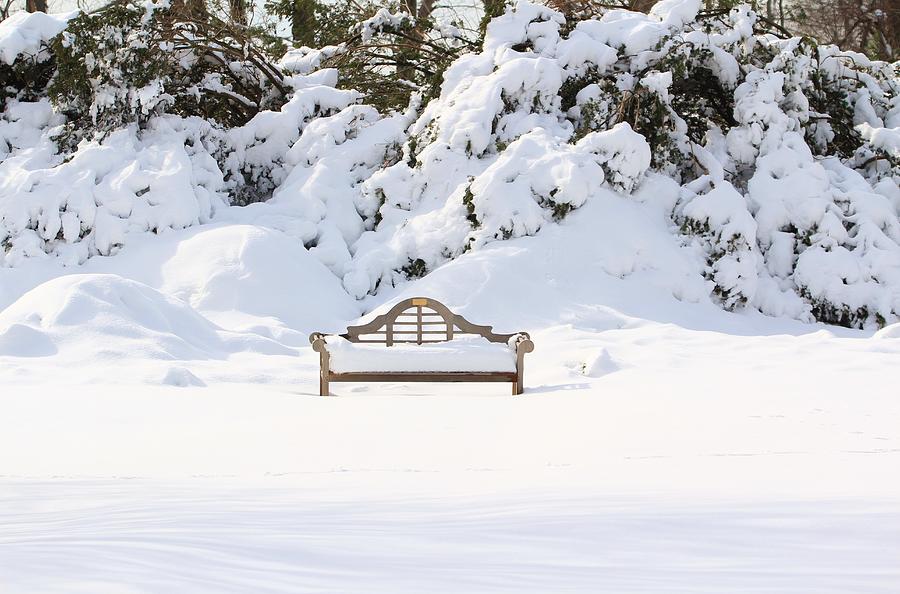 Snow Dwarfed Bench Photograph by Karen Silvestri