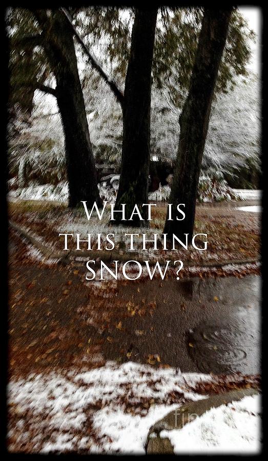 What is This Thing Snow Photograph by Elizabeth McTaggart