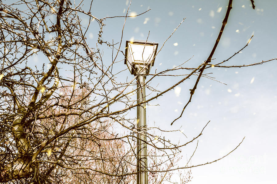 Snow fall and old lights Photograph by Jorgo Photography