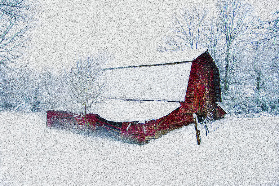 Winter Photograph - Snow Fall by Lisa M Bell