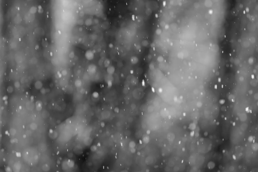 Snow Falling Abstract Black and White Photograph by Terry DeLuco