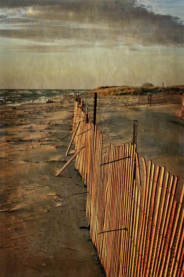 Snow Fence and Lake Michigan Photograph by Michelle Calkins