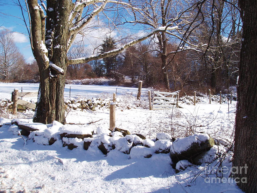 Snow Fence Photograph by B Rossitto