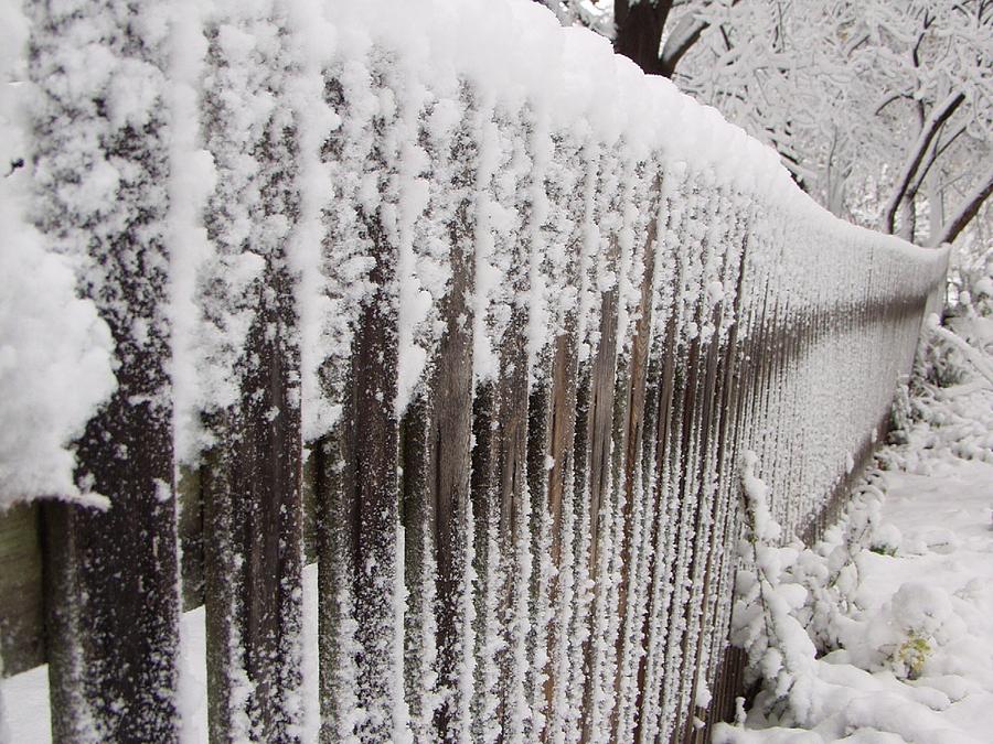 Snow Fence Photograph by Carol Sweetwood