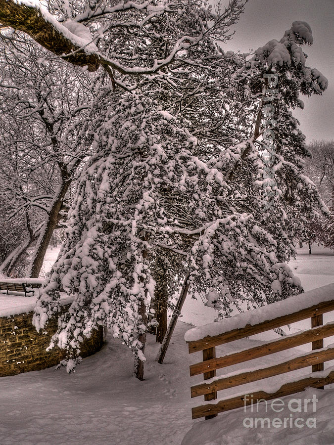 Snow Fence Photograph by David Bearden