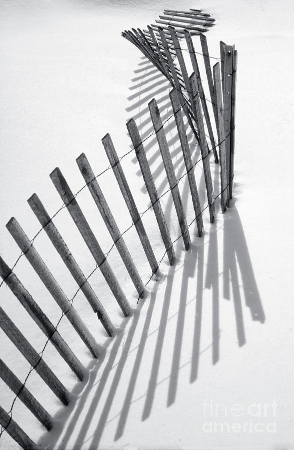 Snow Fence Photograph