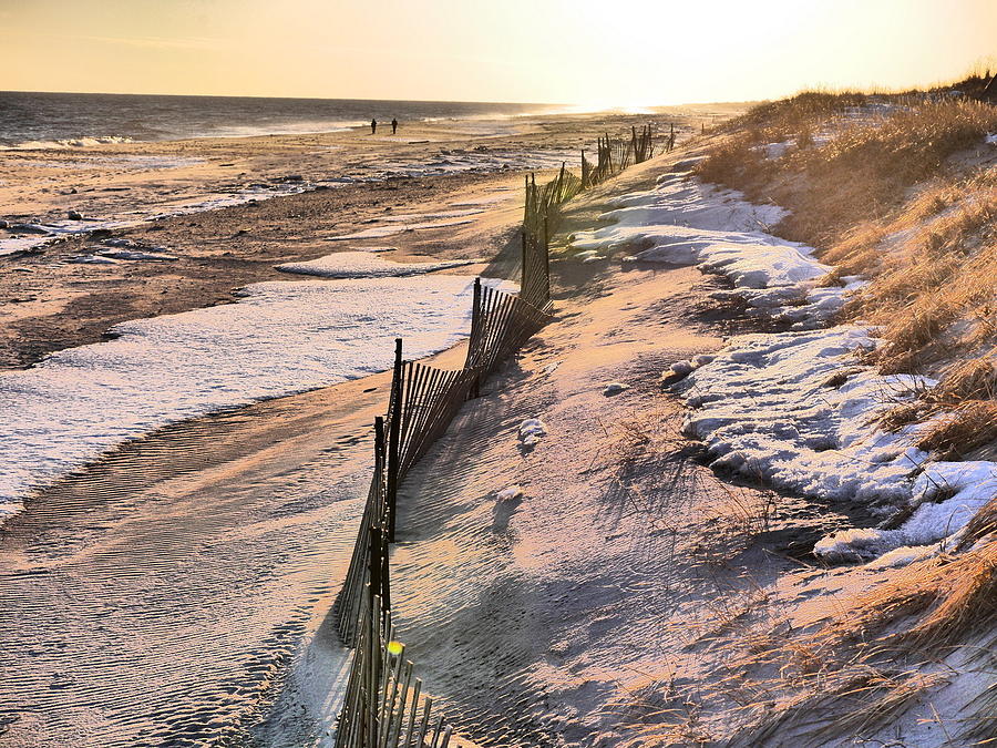 Snow Fence On The Beach Photograph by Jack Riordan