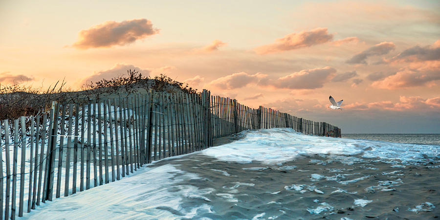 Snow Fence Photograph by Robin-Lee Vieira