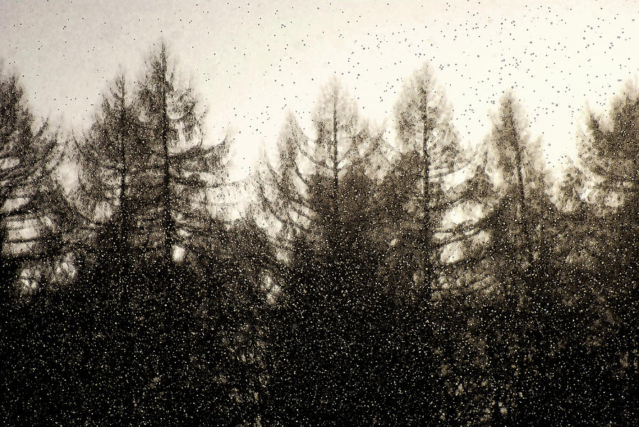 Snow flakes by Michael Mogensen Snow flakes by Michael Mogensen