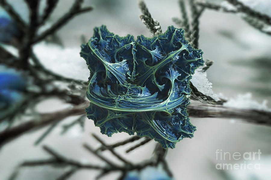 Snow Flower Digital Art by Jonas Luis