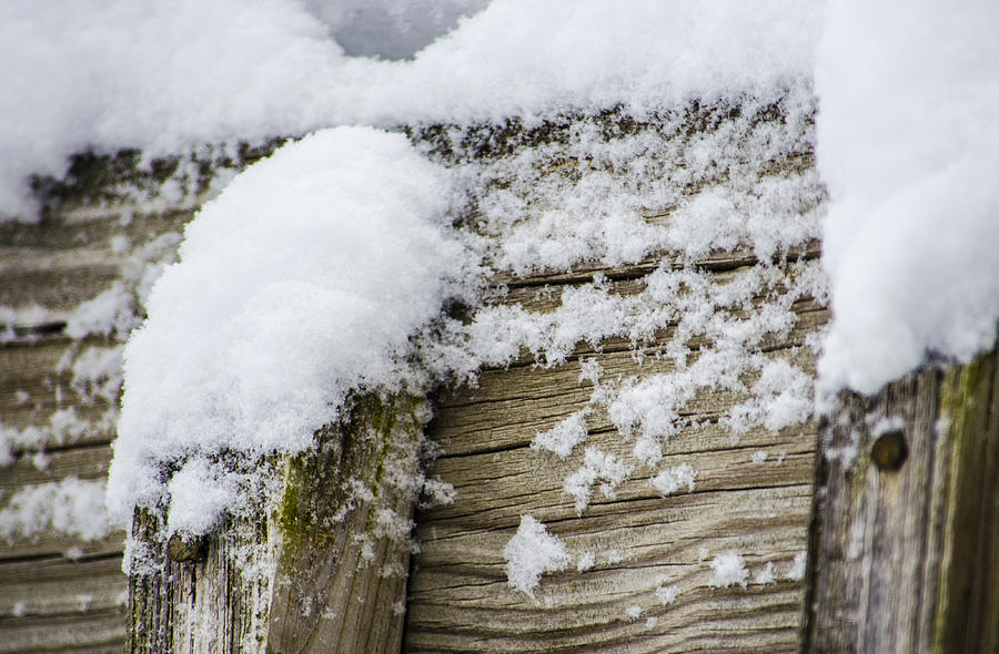 Snow Fluff and Woodgrain Photograph by Deborah Smolinske