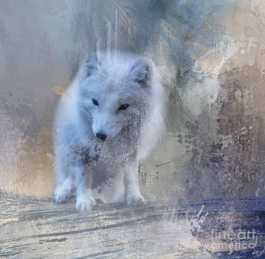 Wildlife Photograph - Snow Fox by Eva Lechner