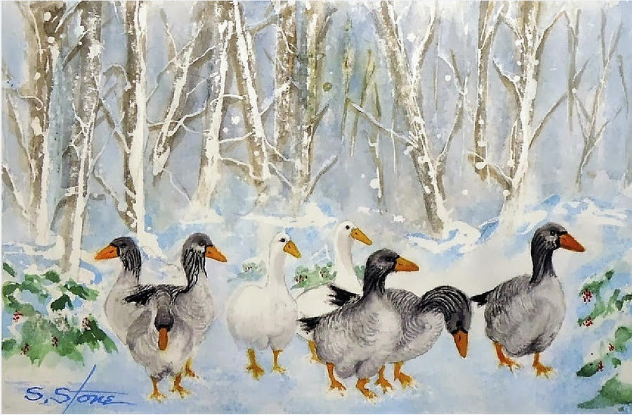 Snow Geese by Sandra Stone Snow Geese by Sandra Stone