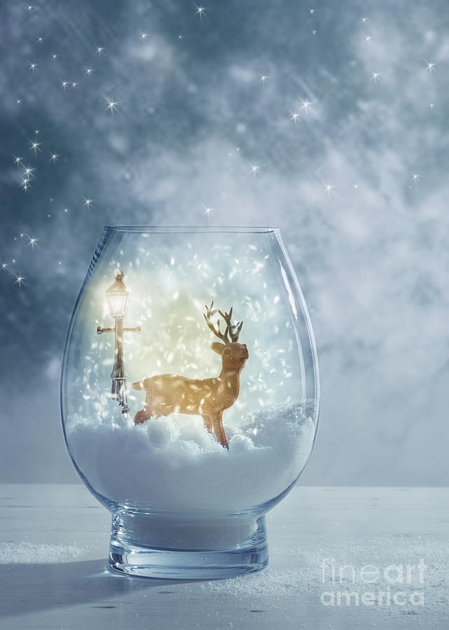Christmas Photograph - Snow Globe For Christmas With Reindeer by Amanda Elwell
