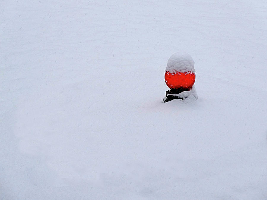 Snow Globe Photograph by Nick Kloepping