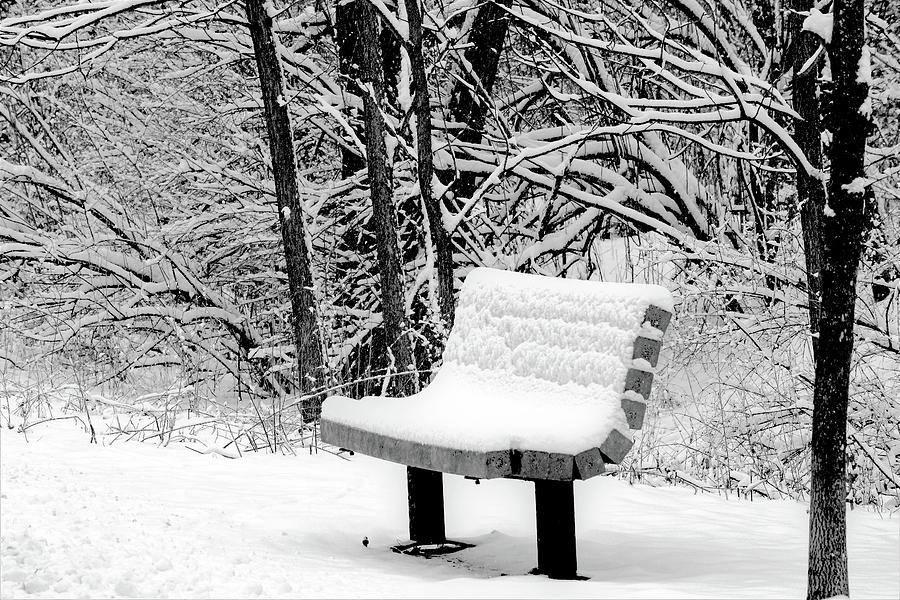 Snow In Black And White Photograph