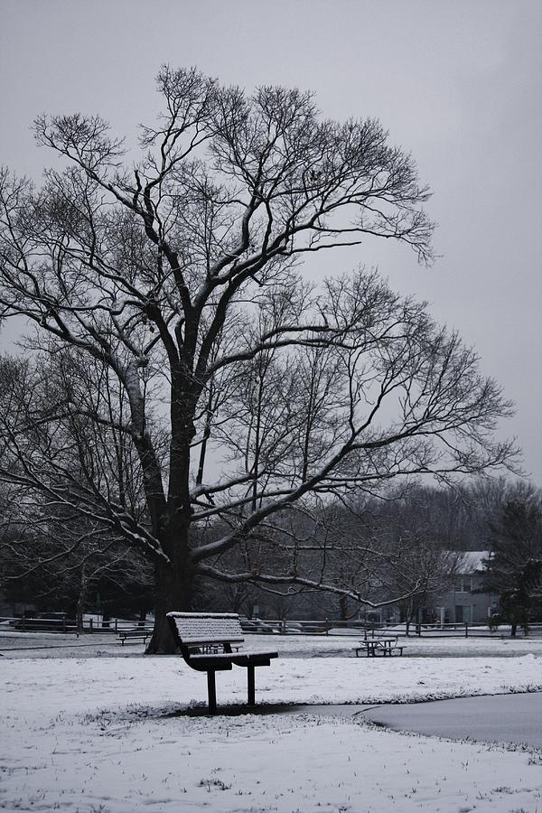 Snow in East Brunswick Photograph by Vadim Levin